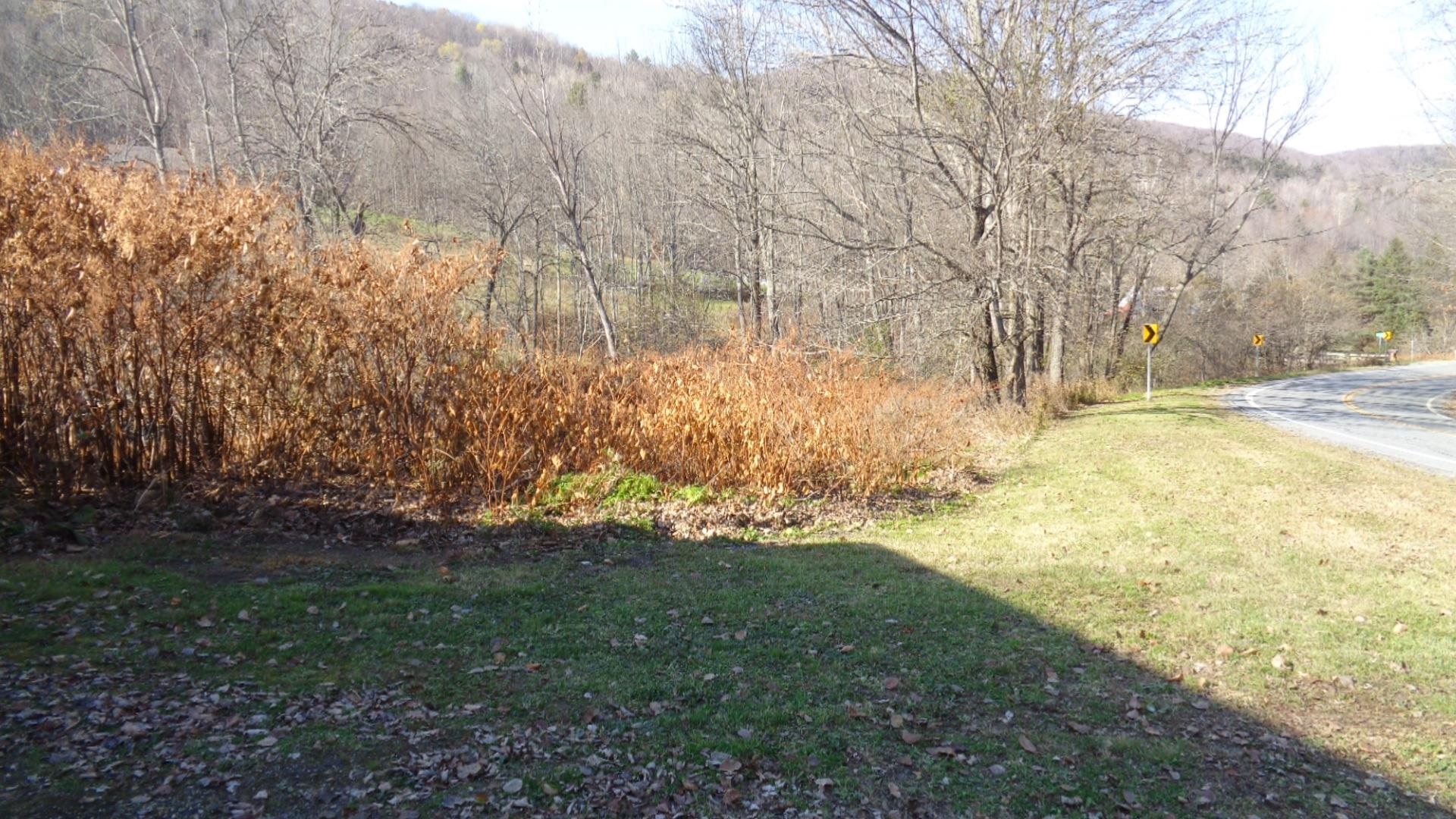 1052 East Roxbury Road Roxbury, VT 05663 - Photo 6 of 38