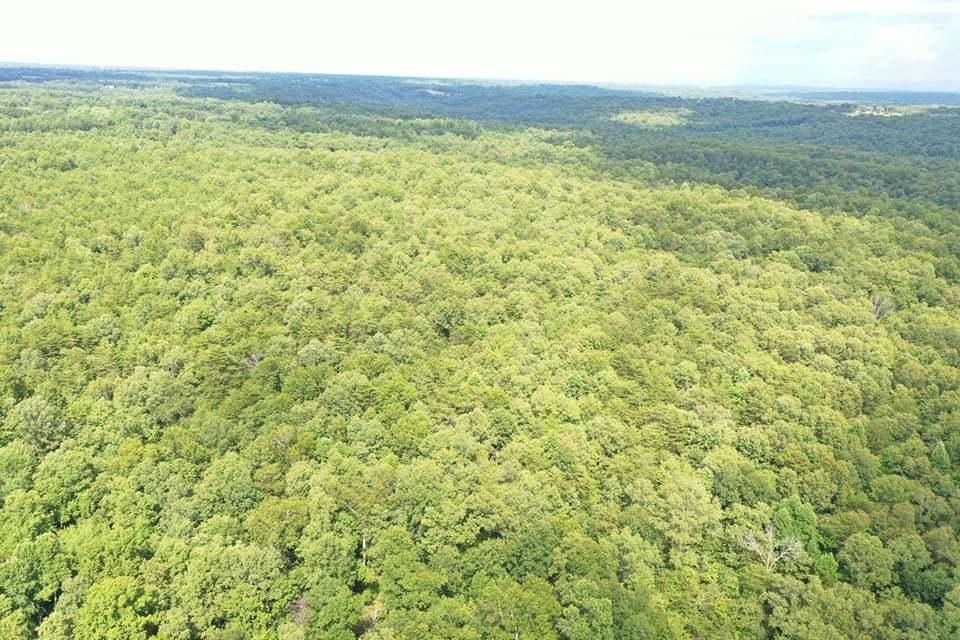 Volunteer Road Monterey, TN 38574 - Photo 1 of 31 234718104_891773368406295_15917594387939