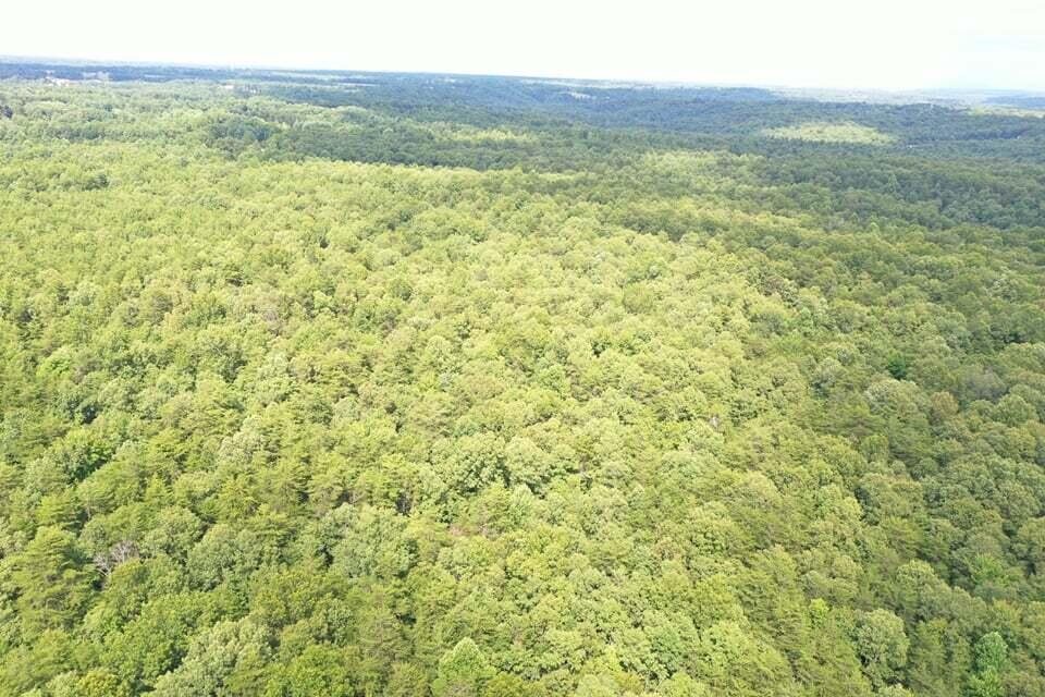 Volunteer Road Monterey, TN 38574 - Photo 17 of 31 231821355_267140041529070_21972786909690