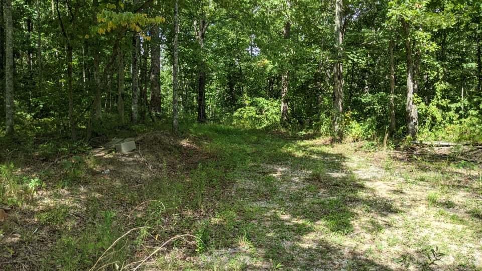 Volunteer Road Monterey, TN 38574 - Photo 2 of 31 234773895_846654592645969_13274474327292