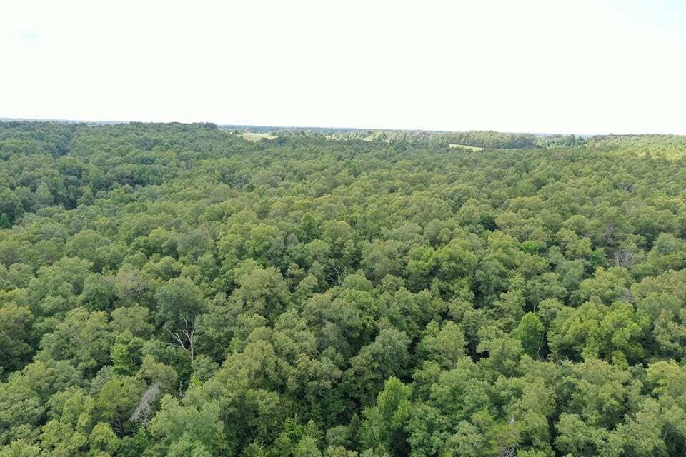 Volunteer Road Monterey, TN 38574 - Photo 21 of 31 232625129_580919573078623_38426541635627