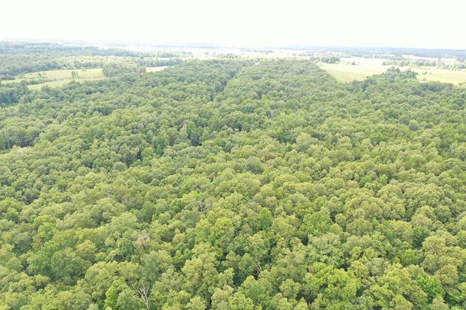 Volunteer Road Monterey, TN 38574 - Photo 23 of 31 233451226_4450407988344431_5288929372986