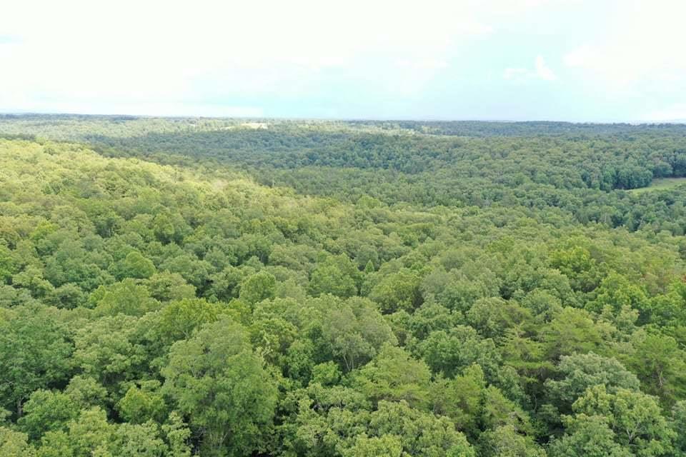 Volunteer Road Monterey, TN 38574 - Photo 25 of 31 235135802_781600292533970_29054396302250
