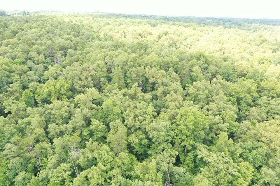 Volunteer Road Monterey, TN 38574 - Photo 26 of 31 236337383_797358150931674_50359056754933
