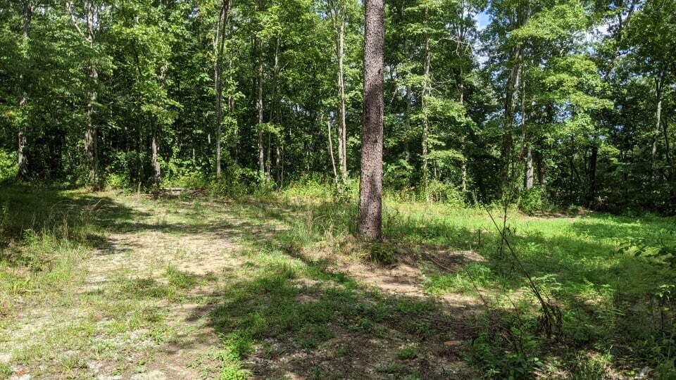 Volunteer Road Monterey, TN 38574 - Photo 3 of 31 232289137_874986676768930_33590806125933