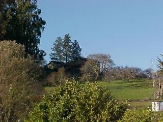 2675 Bloomfield Road Sebastopol, CA 95472 - Photo 2 of 4 a view of lake with green space