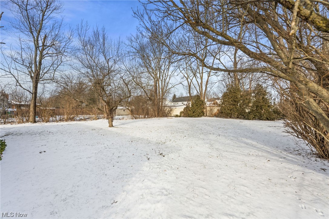 6543 Longridge Road Cleveland, OH 44124 - Photo 24 of 24 View of yard layered in snow