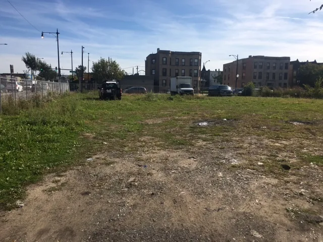 a view of a house with a yard and a large tree