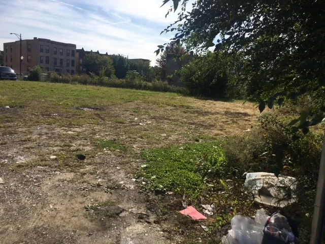 a view of outdoor space and yard