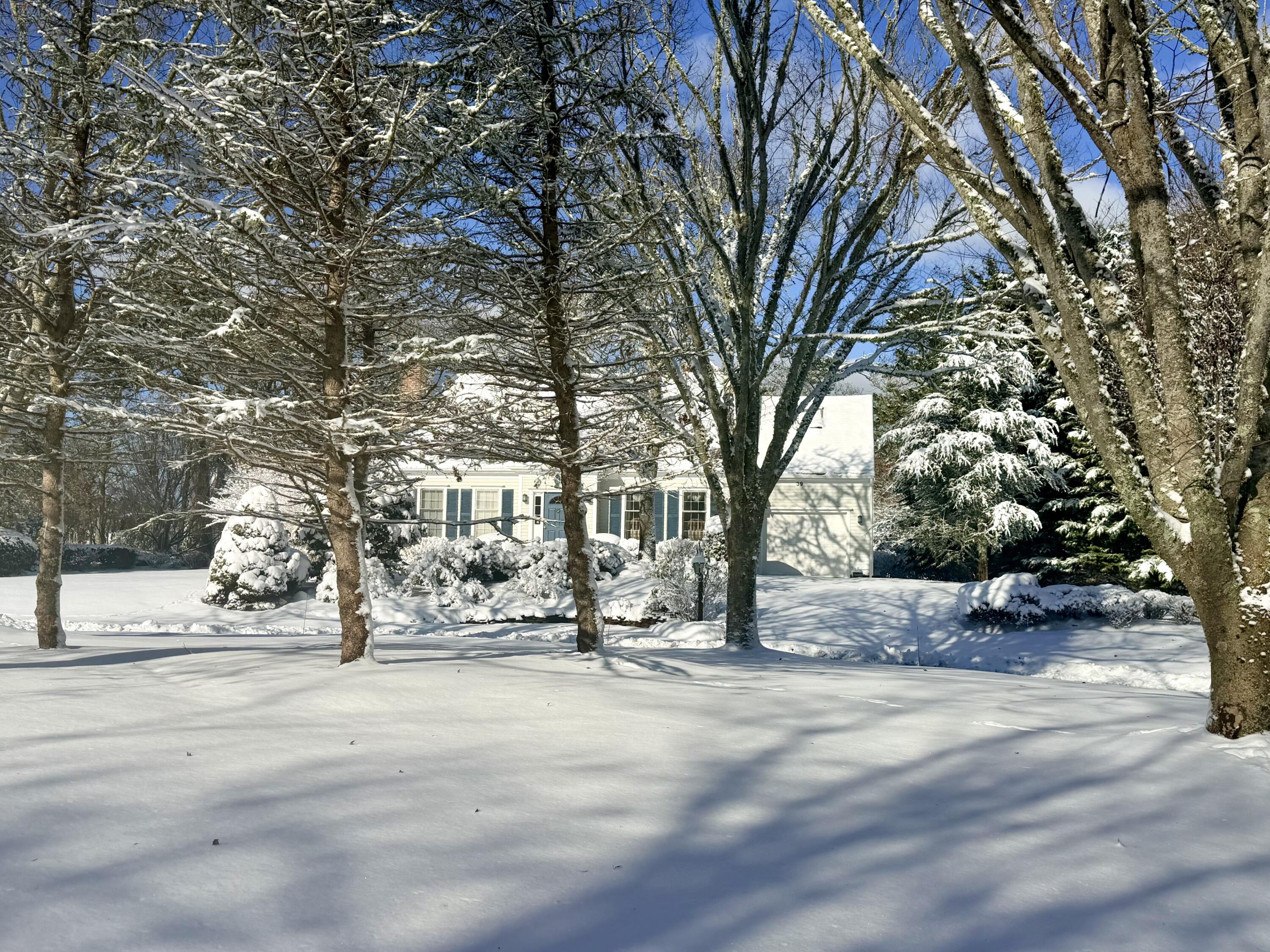 39 Jedidiah Way Chatham, MA 02633 - Photo 41 of 47 a view of road with with trees