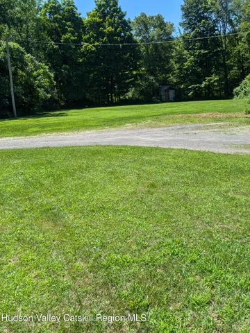 a view of a yard with a large trees
