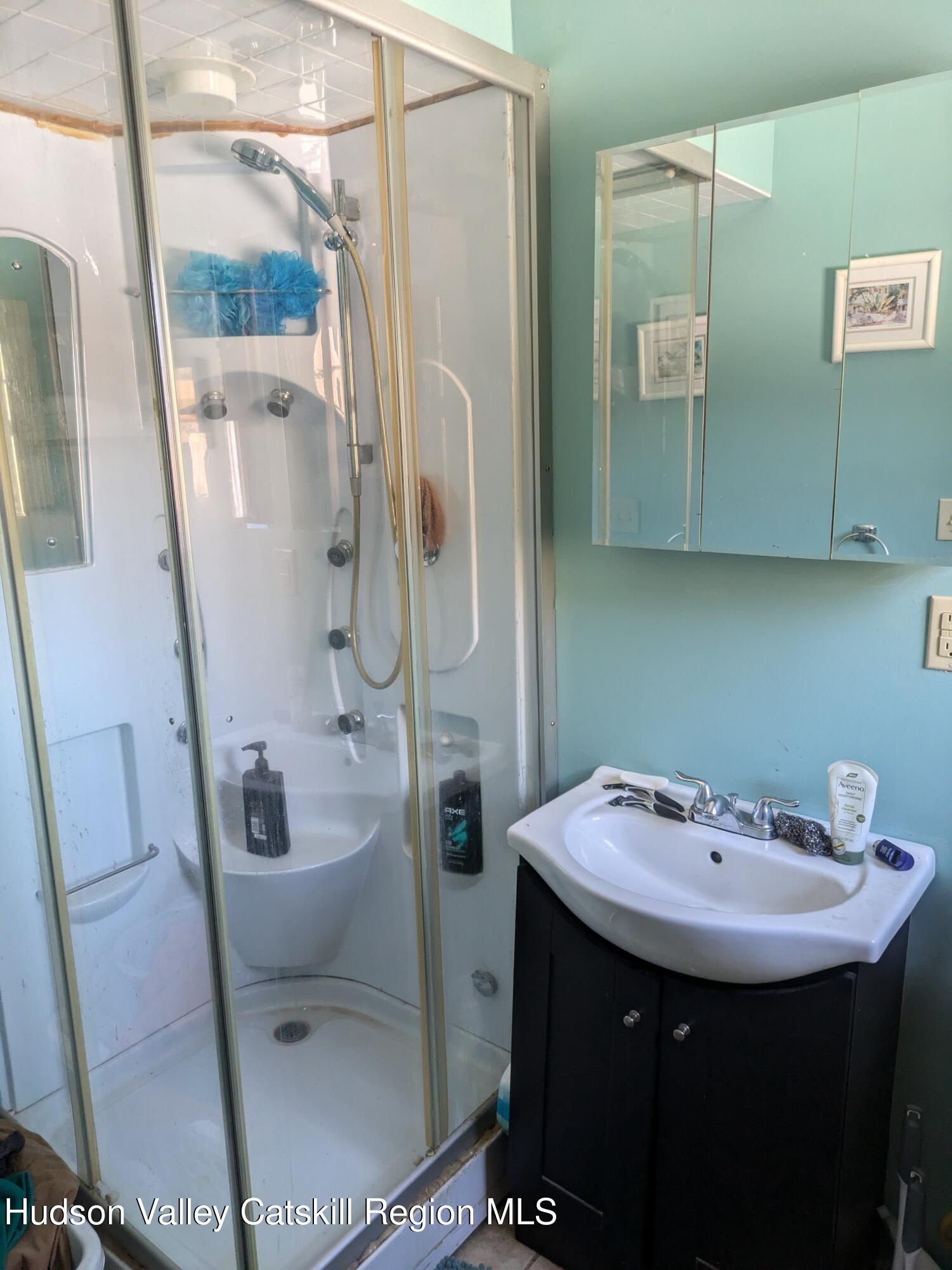 57 Samsonville Road Kerhonkson, NY 12446 - Photo 17 of 25 a bathroom with a sink a toilet and shower
