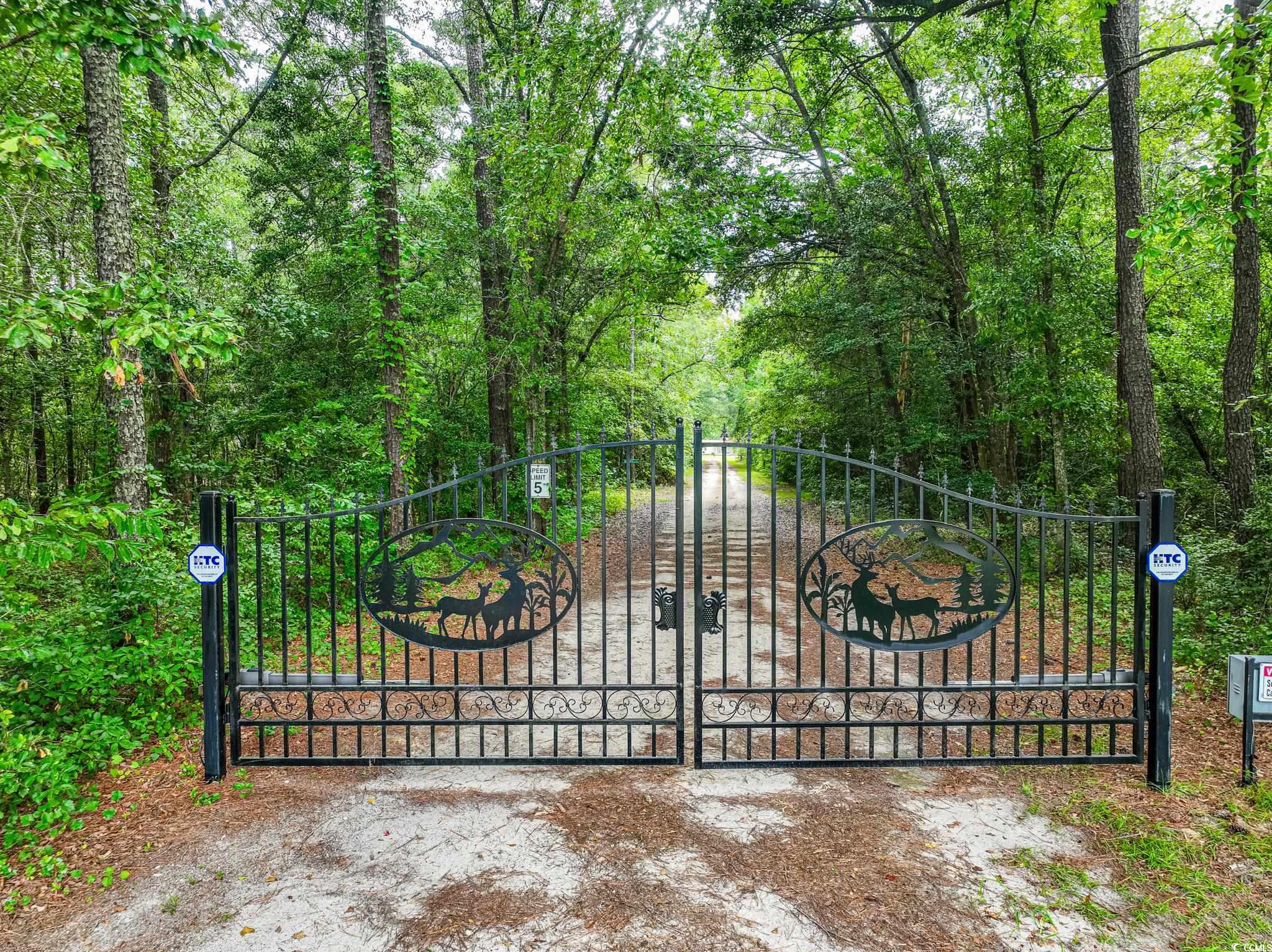 Tbd Brinson Lane Loris, SC 29569 - Photo 2 of 9 View of gate