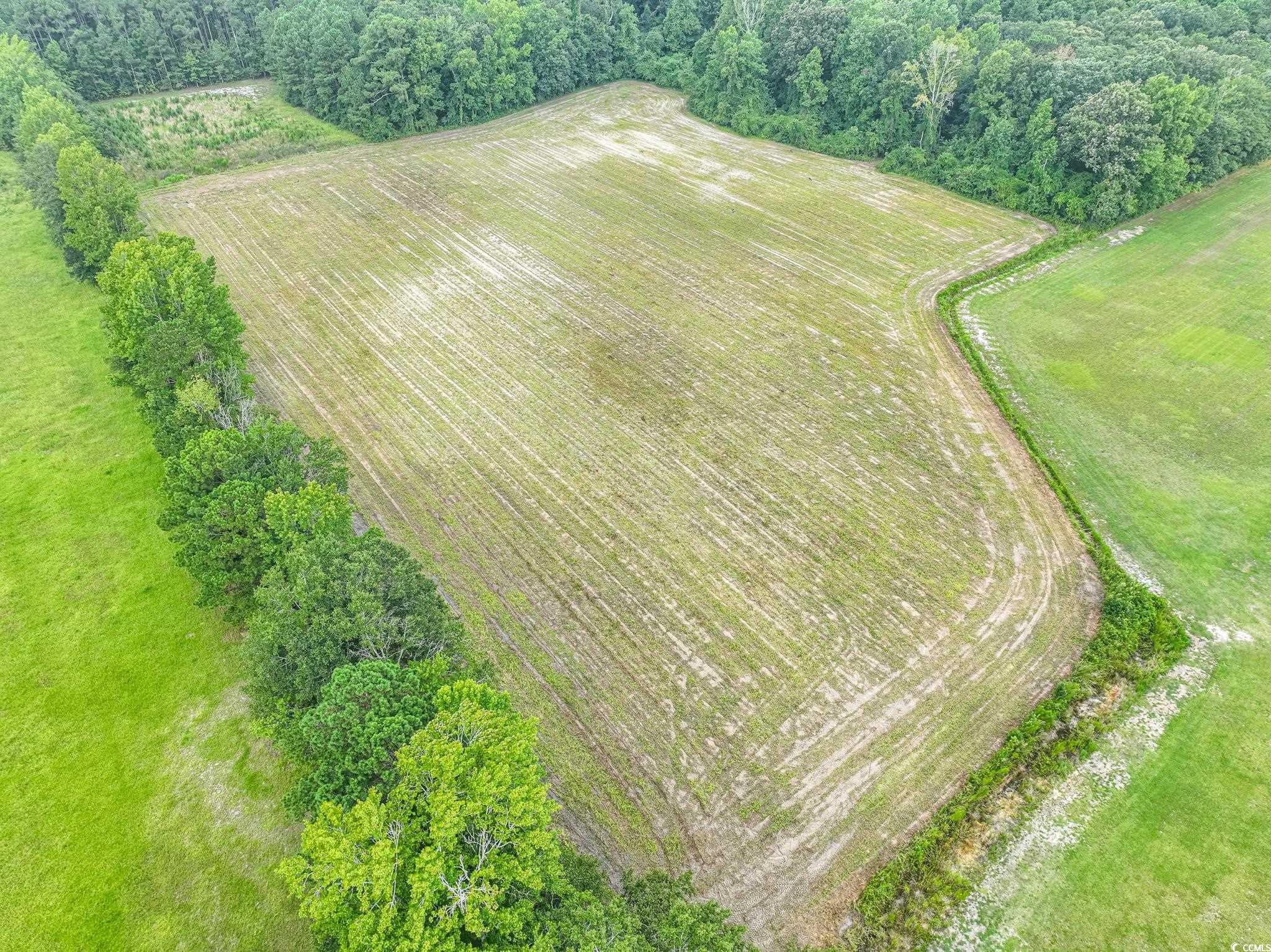 Tbd Brinson Lane Loris, SC 29569 - Photo 7 of 9 Drone / aerial view featuring a rural view