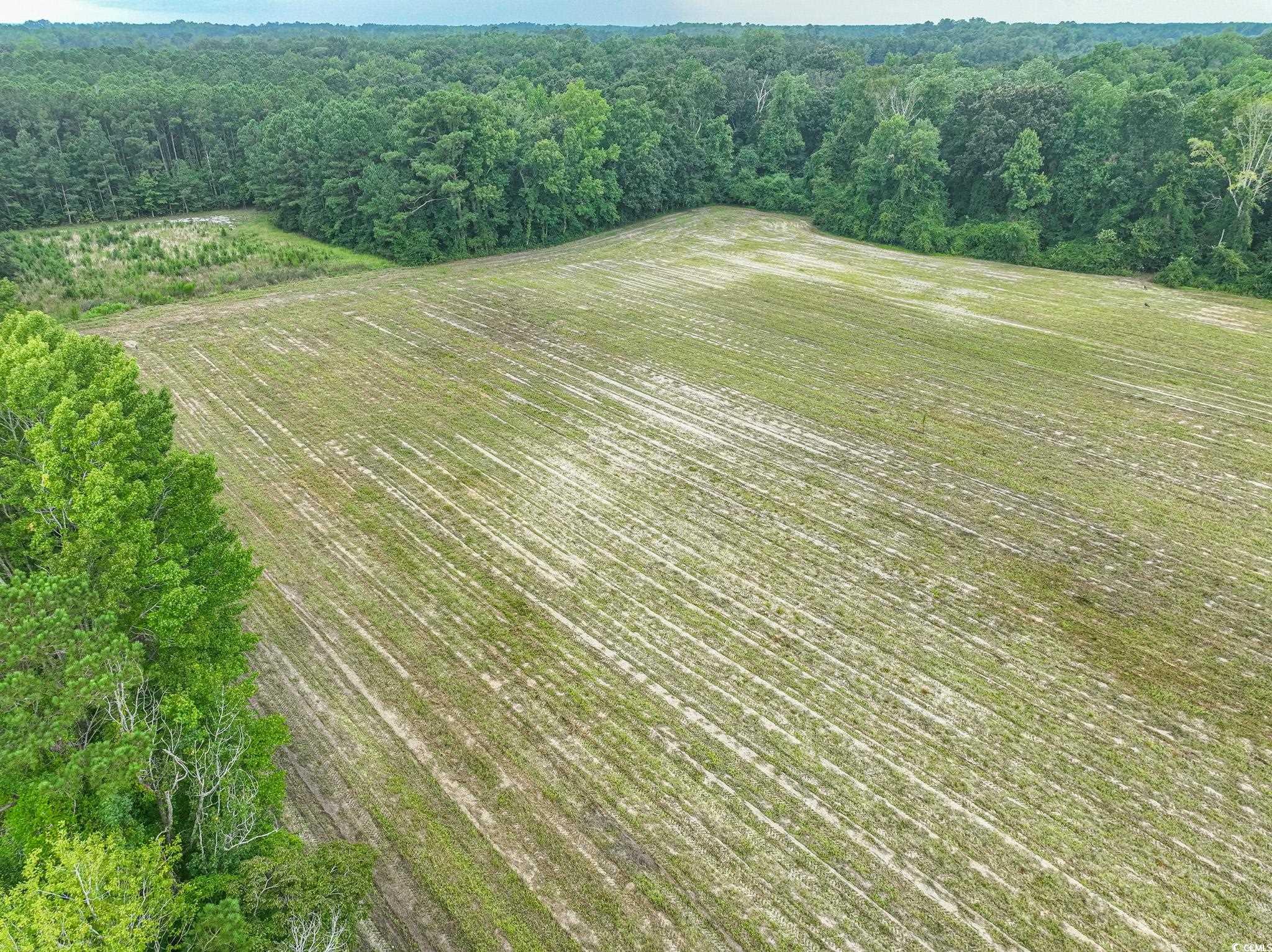 Tbd Brinson Lane Loris, SC 29569 - Photo 8 of 9 Bird's eye view featuring a rural view