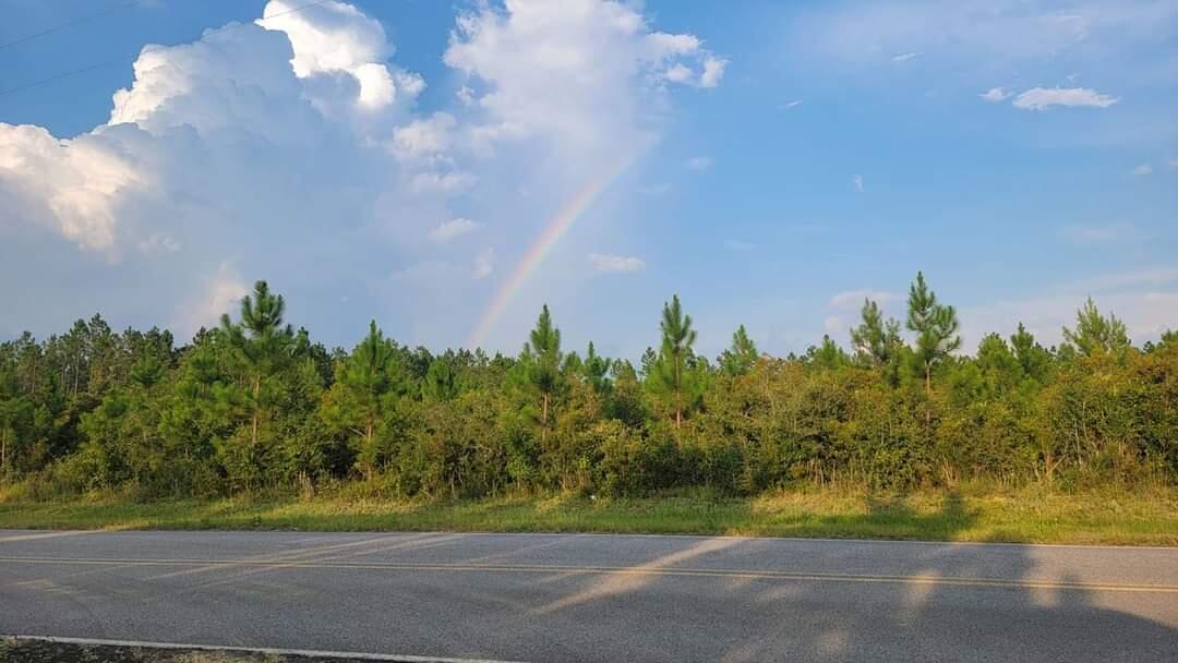 8 Long Road DeFuniak Springs, FL 32433 - Photo 3 of 5 Long Rd