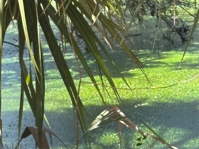 $799,000 | 4050 Rock Creek Drive, Port Charlotte, FL 33948