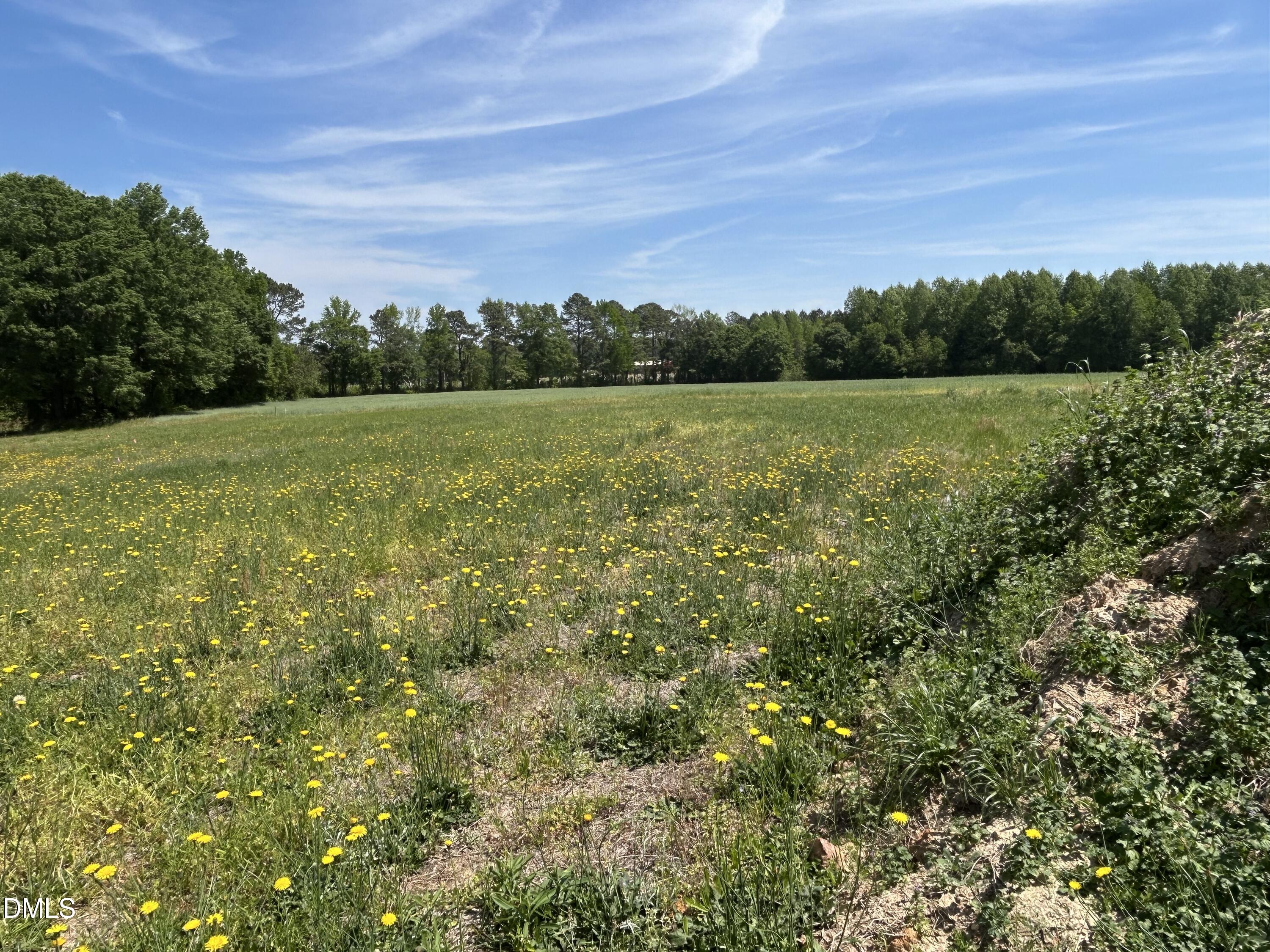 168 Prency Lane Middlesex, NC 27557 - Photo 9 of 15 a view of a field with an ocean and trees