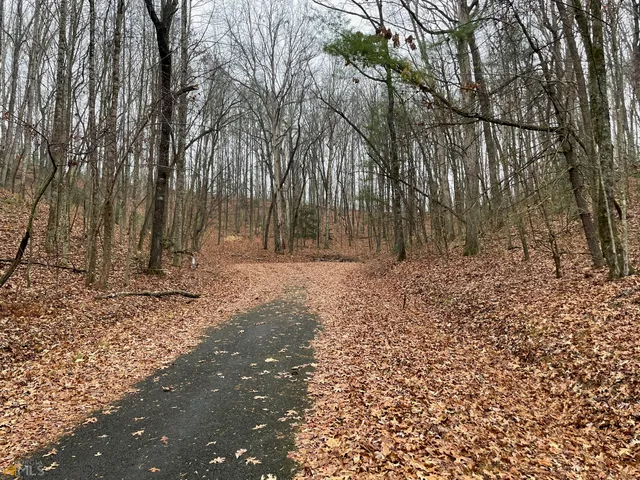 a view of outdoor space with deck and trees
