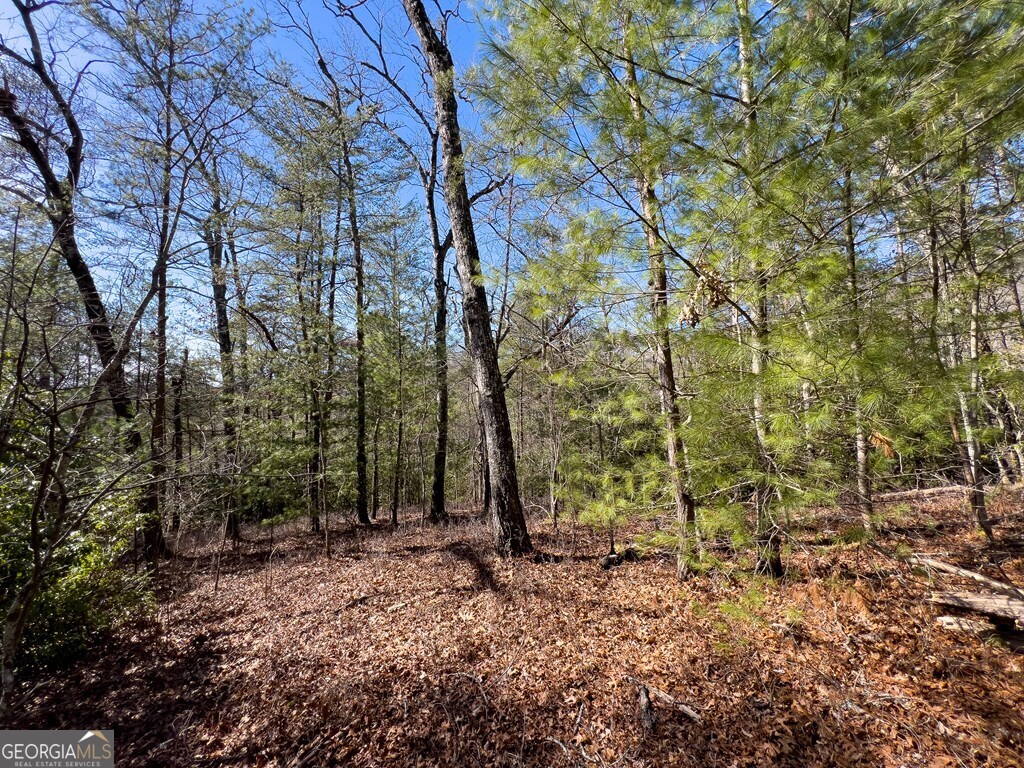 Lot 19 Mission Ridge Drive Hayesville, NC 28904 - Photo 15 of 44 a view of forest