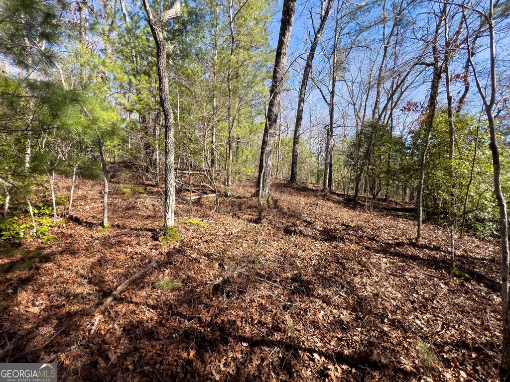 Lot 19 Mission Ridge Drive Hayesville, NC 28904 - Photo 16 of 44 a backyard of a house with lots of green space