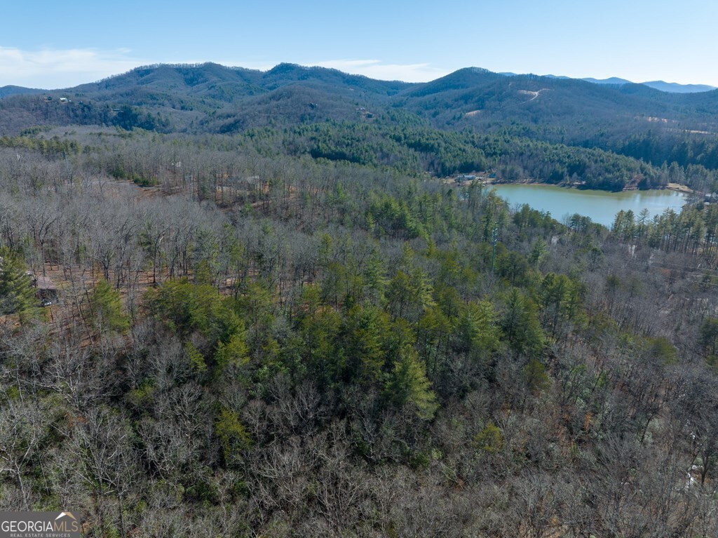 Lot 19 Mission Ridge Drive Hayesville, NC 28904 - Photo 25 of 44 a land view