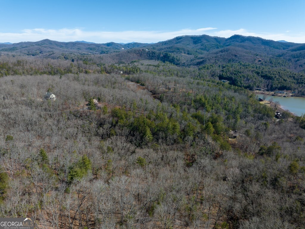 Lot 19 Mission Ridge Drive Hayesville, NC 28904 - Photo 26 of 44