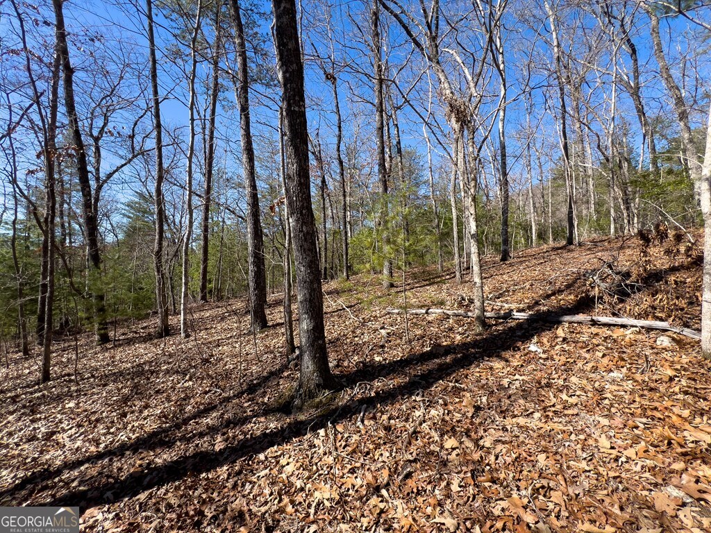 Lot 19 Mission Ridge Drive Hayesville, NC 28904 - Photo 6 of 44 a view of a yard with trees