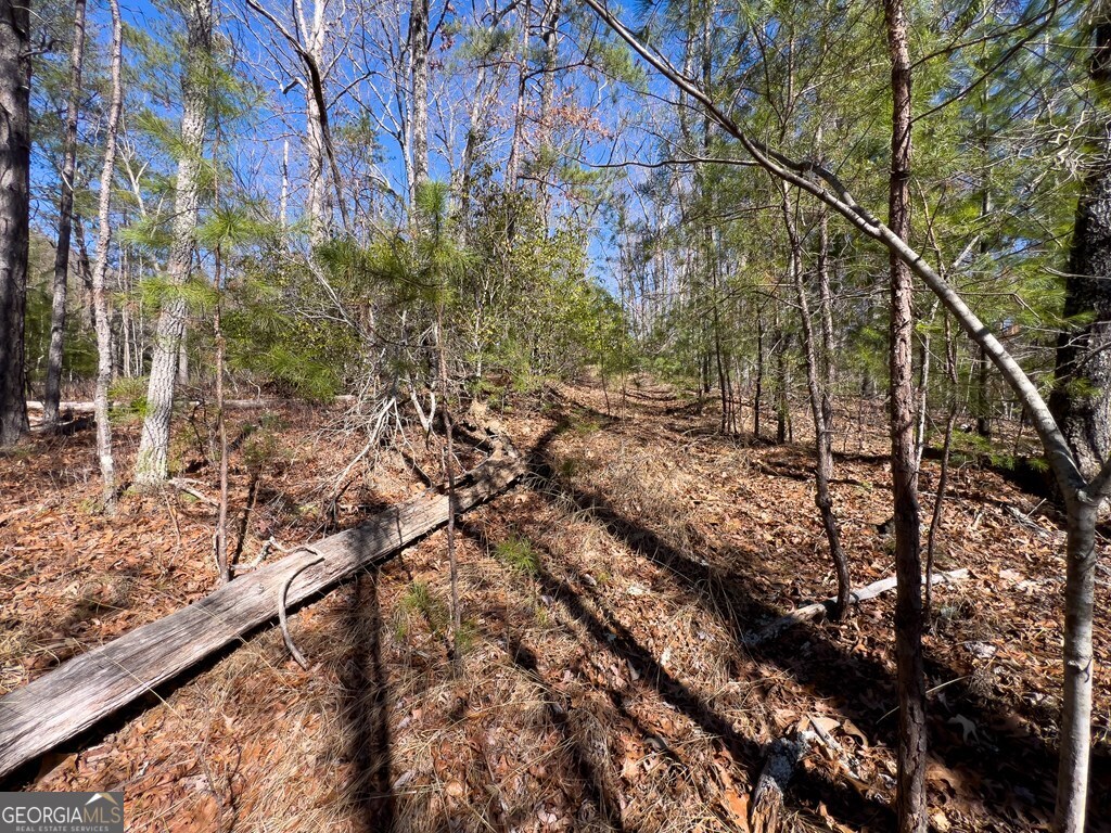 Lot 19 Mission Ridge Drive Hayesville, NC 28904 - Photo 8 of 44 a view of a yard with plants and trees