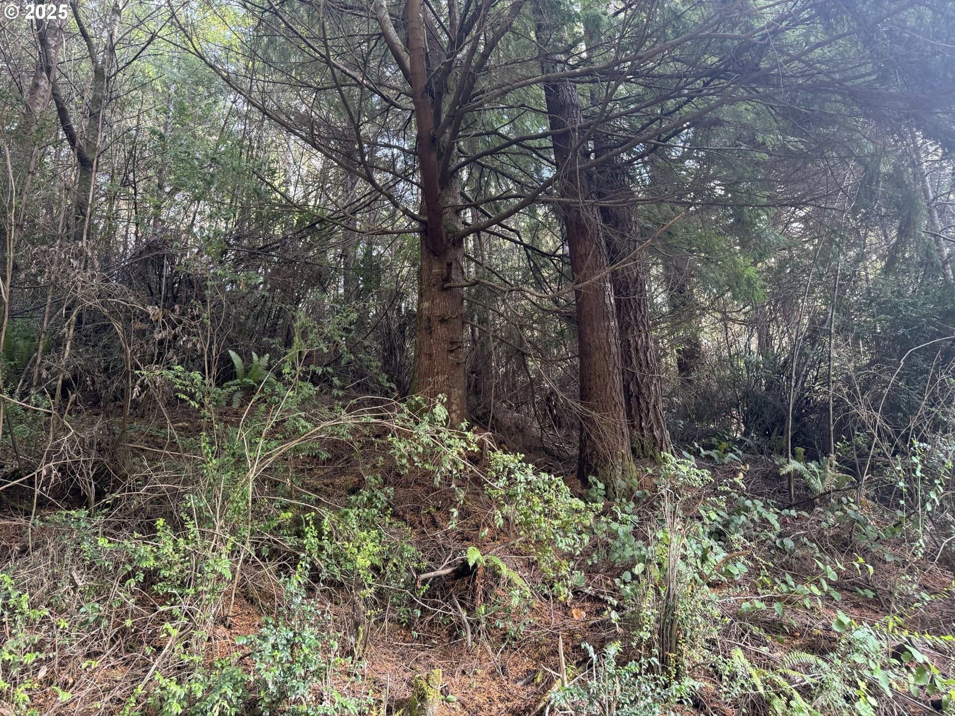 3 Potato Bottom Road, Unit 604 Lakeside, OR 97449 - Photo 11 of 19