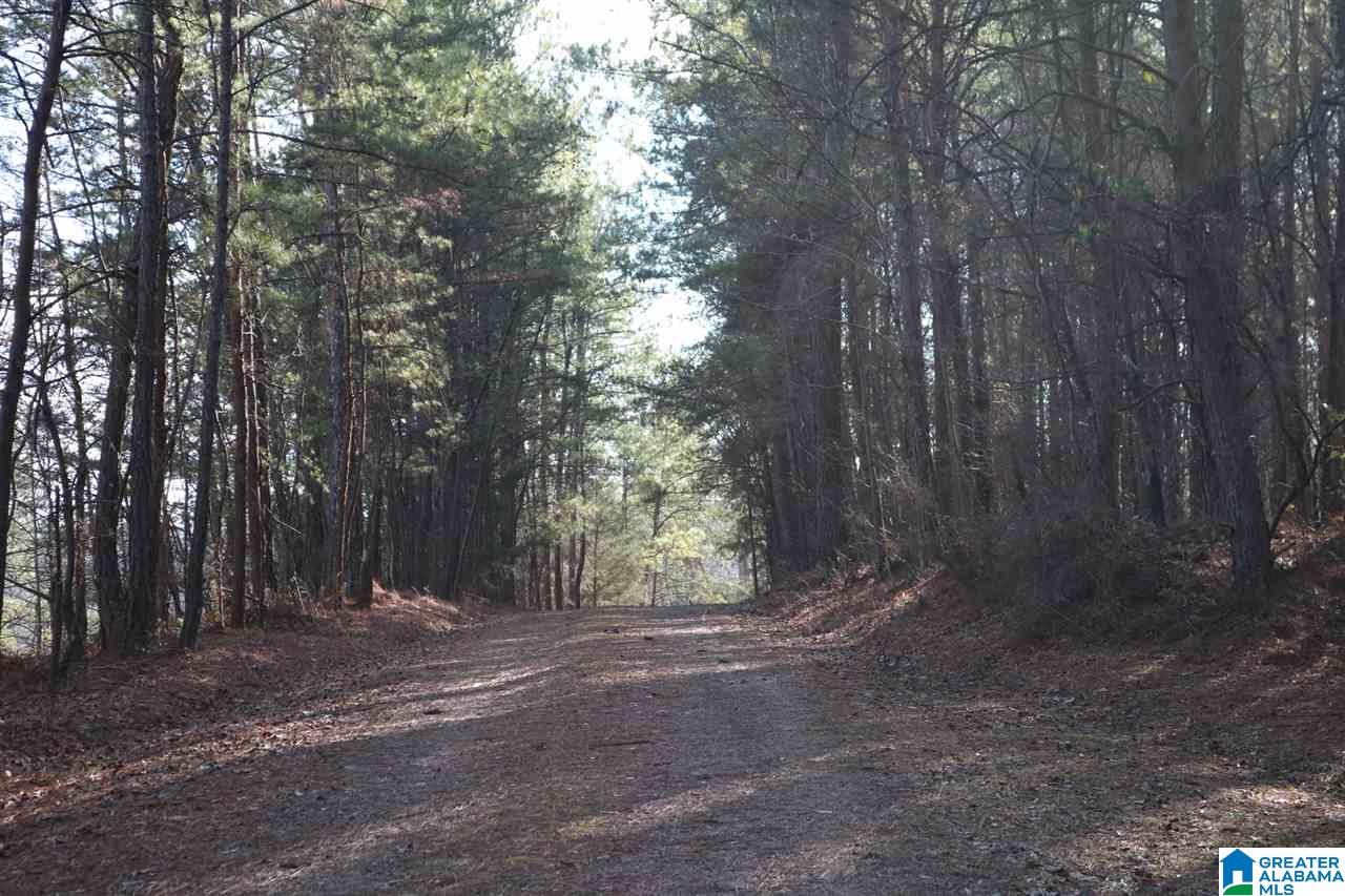 707 Toadvine Road Bessemer, AL 35023 - Photo 26 of 26