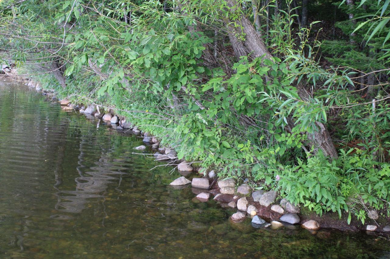 10898 Halsey Lake Road Long Lake, WI 54542 - Photo 9 of 45 Gallery Image 9
