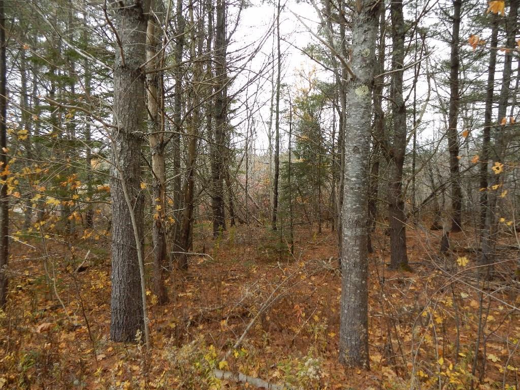 Lot 13-g West Bay Road Prospect Harbor, ME 04669 - Photo 2 of 20 Photo