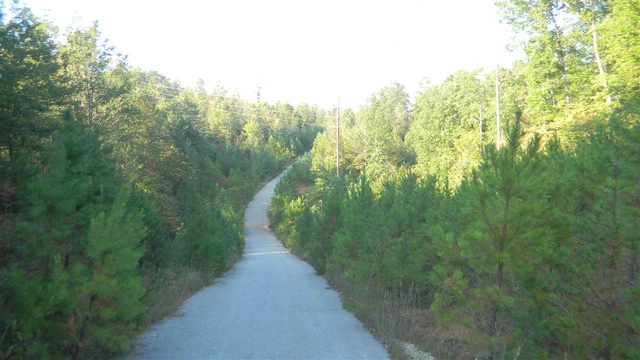Oconee Station Road, Unit TRACT C Walhalla, SC 29691 - Photo 11 of 27 Gallery Image 11