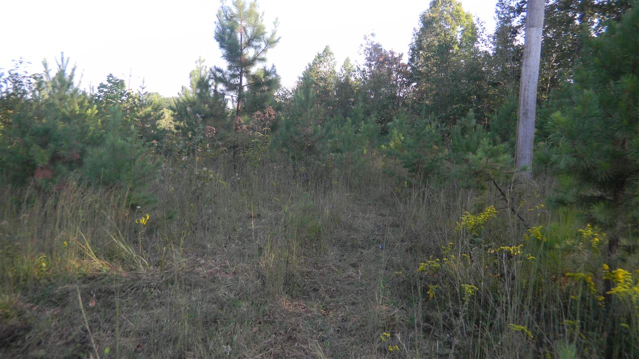 Oconee Station Road, Unit TRACT C Walhalla, SC 29691 - Photo 16 of 27 Gallery Image 16