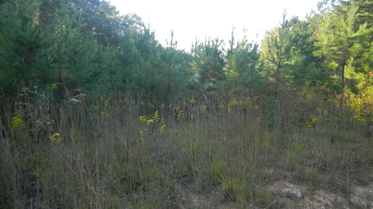Oconee Station Road, Unit TRACT C Walhalla, SC 29691 - Photo 17 of 27 Gallery Image 17