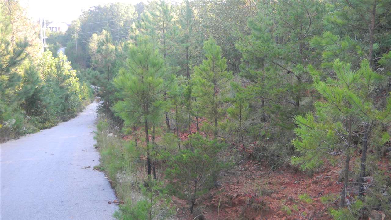 Oconee Station Road, Unit TRACT C Walhalla, SC 29691 - Photo 27 of 27 Gallery Image 27
