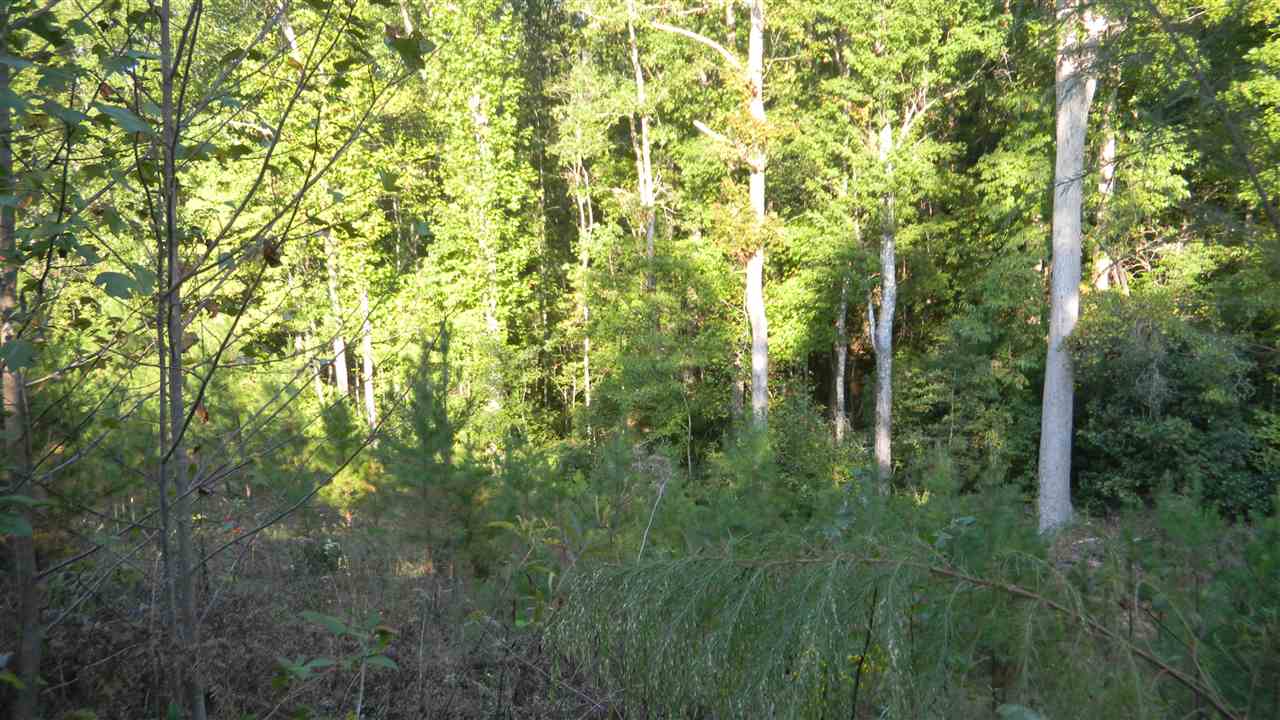 Oconee Station Road, Unit TRACT C Walhalla, SC 29691 - Photo 8 of 27 Gallery Image 8
