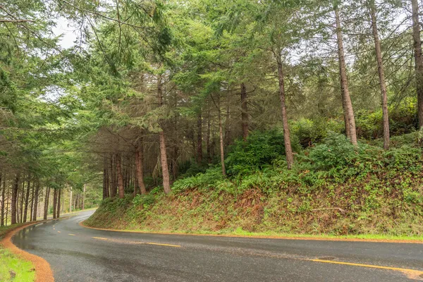 $17,999 | 710 Upper Pacific Drive, Shelter Cove, CA 95589