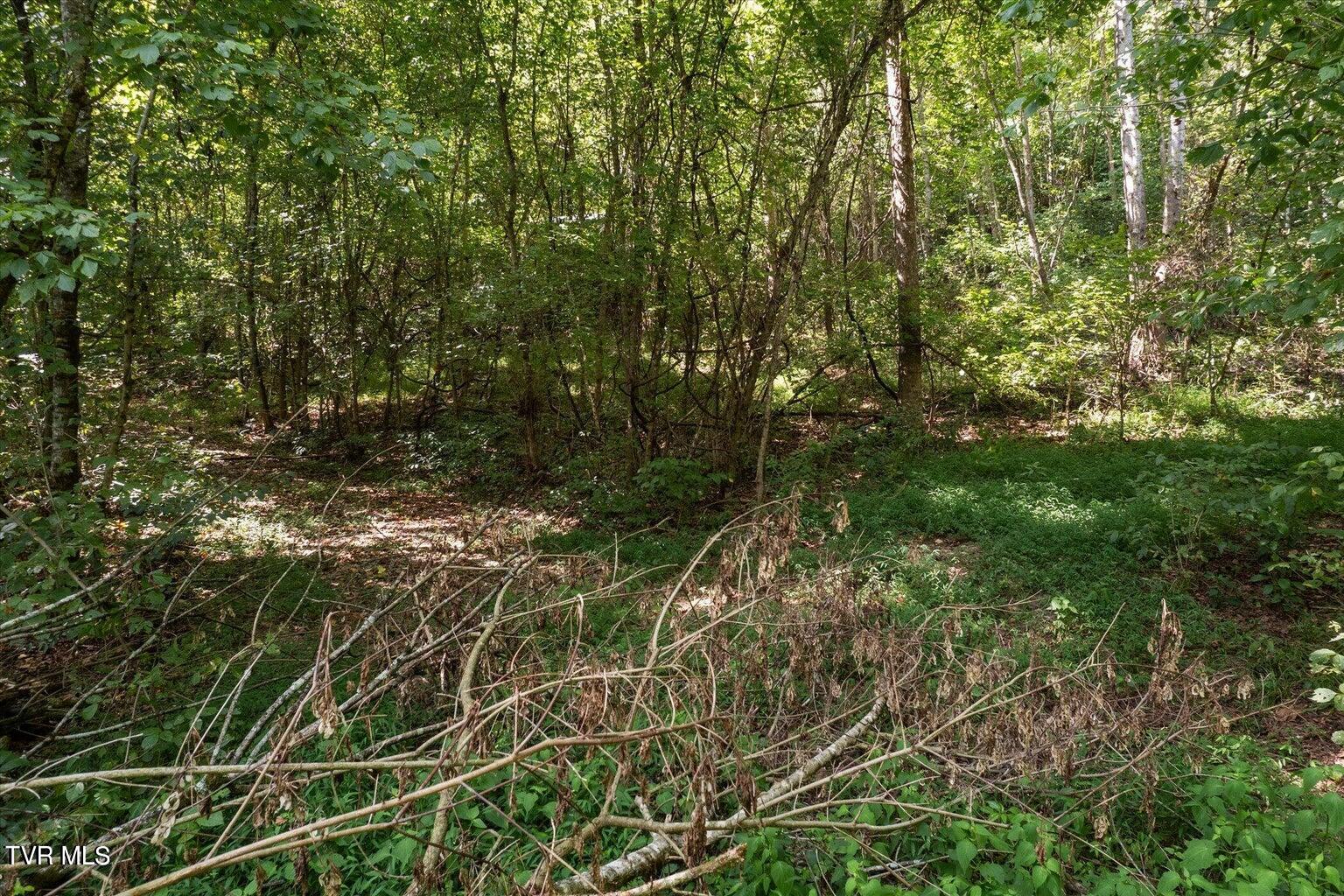 Tbd North Fork River Road, Unit 3 Abingdon, VA 24210 - Photo 20 of 34 *