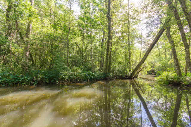 11218 County Road 99 Lillian, AL 36549 - Photo 40 of 41 Bayou