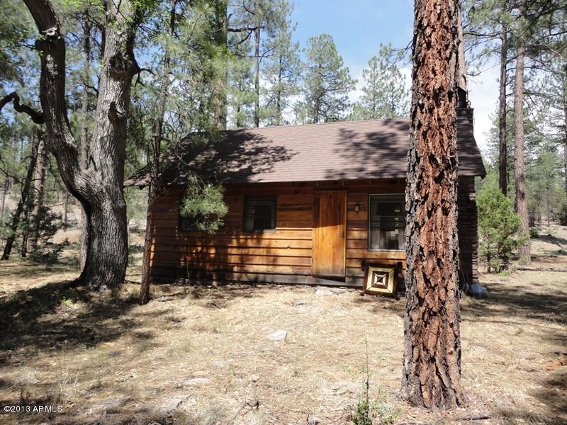 293 West Diamond Point Road Payson, AZ 85541 - Photo 11 of 14 DSC01918