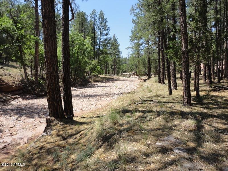 293 West Diamond Point Road Payson, AZ 85541 - Photo 12 of 14 DSC01919
