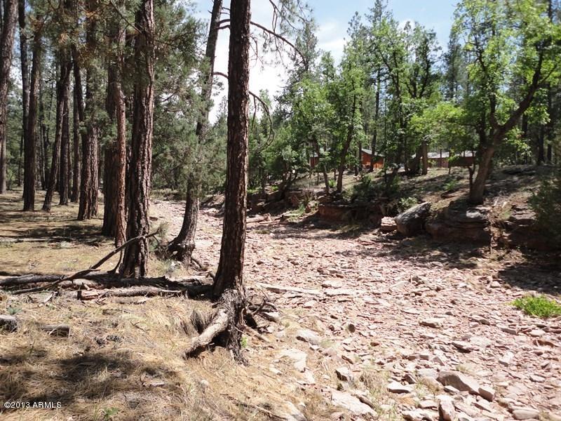 293 West Diamond Point Road Payson, AZ 85541 - Photo 13 of 14 DSC01920
