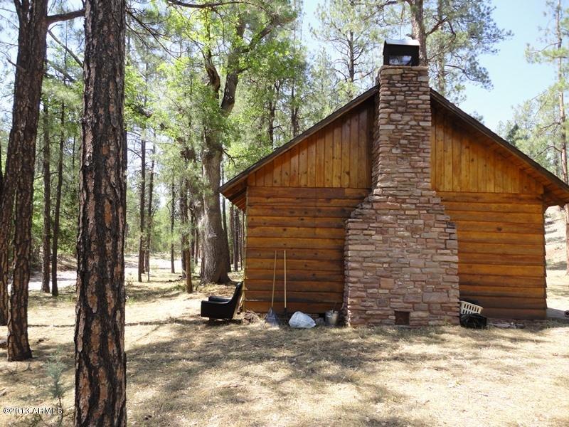 293 West Diamond Point Road Payson, AZ 85541 - Photo 14 of 14 DSC01921
