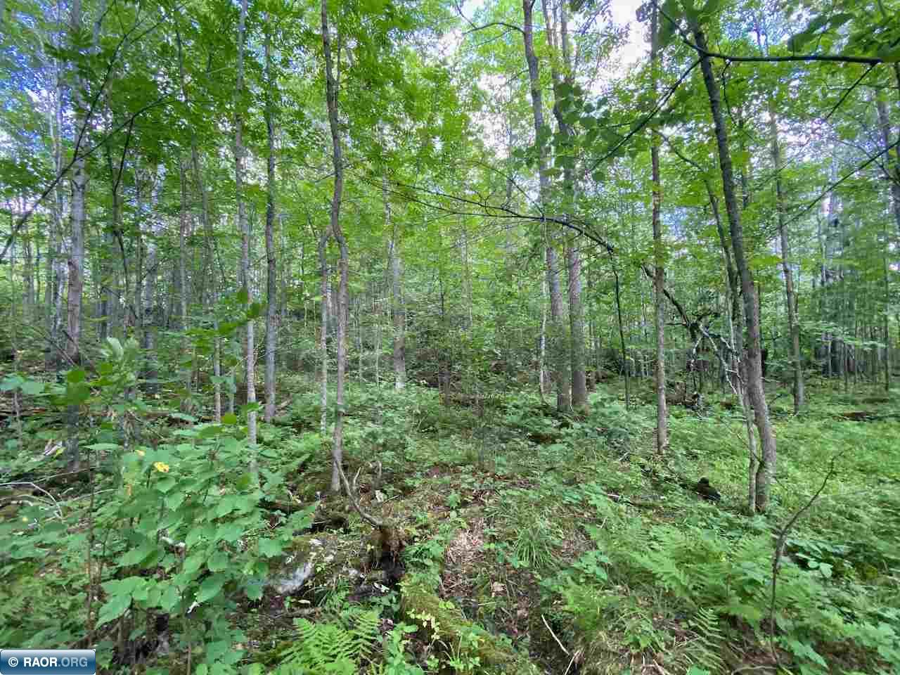 Tbd Lot 10 Wilderness Way Road Orr, MN 55771 - Photo 16 of 26 Gallery Image 16