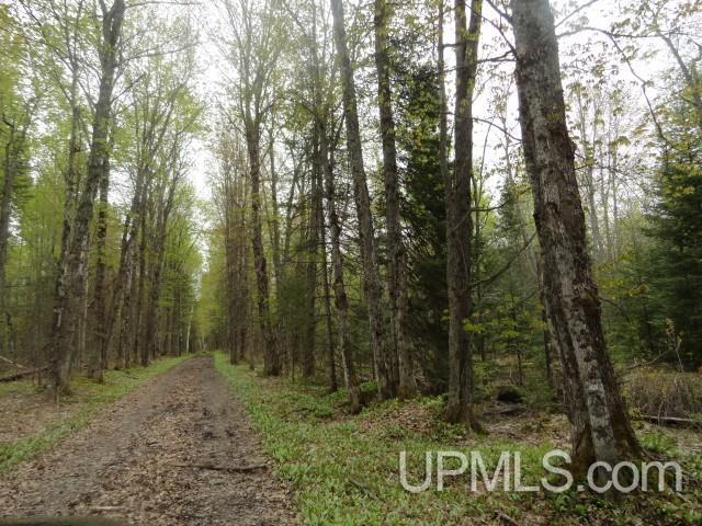 Tbd Tbd Sipila Road Eben Junction, MI 49825 - Photo 6 of 7