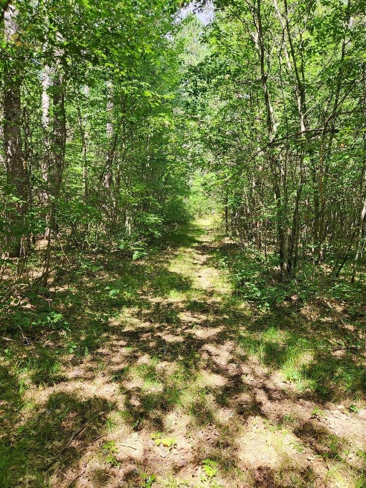 On Prairie Lake Road, Unit LOTS 58 Tomahawk, WI 54487 - Photo 12 of 30 Gallery Image 12
