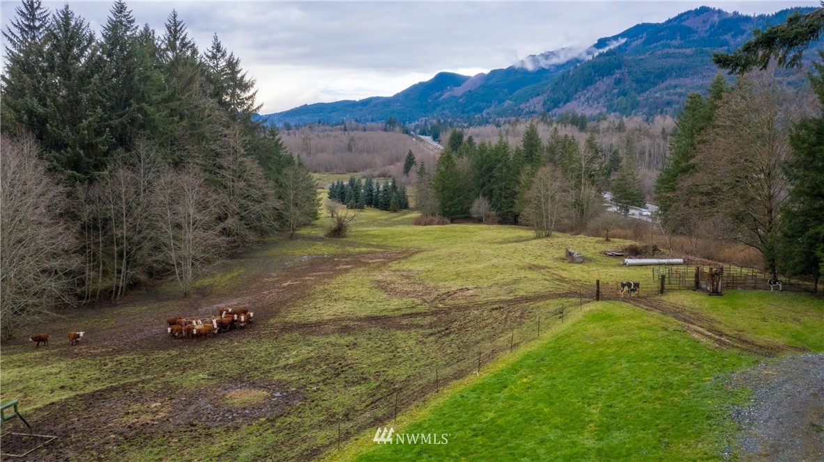 17841 Old Lake Samish Road Bellingham, WA 98229 - Photo 33 of 40 Gallery Image 33