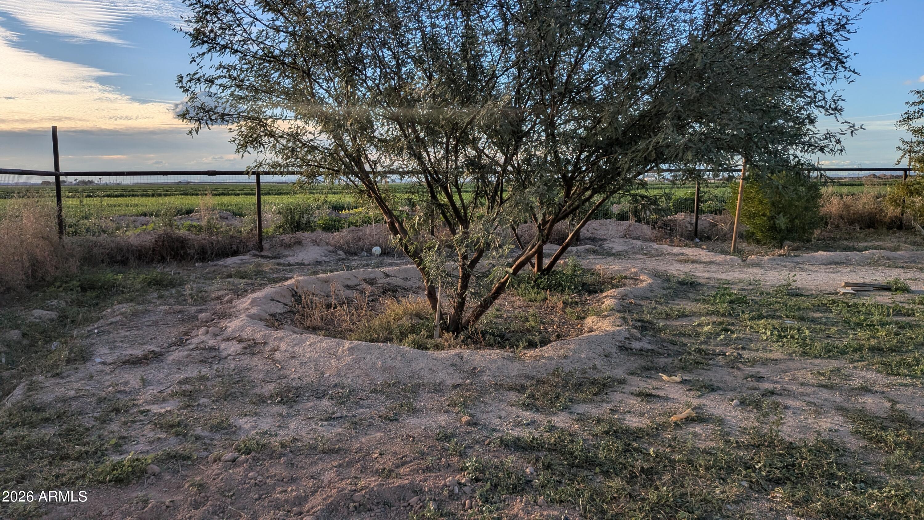 5602 South Wilson Road Buckeye, AZ 85326 - Photo 30 of 45 PXL_20260106_234755296